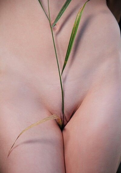 Model Night A in Until the Sun Falls